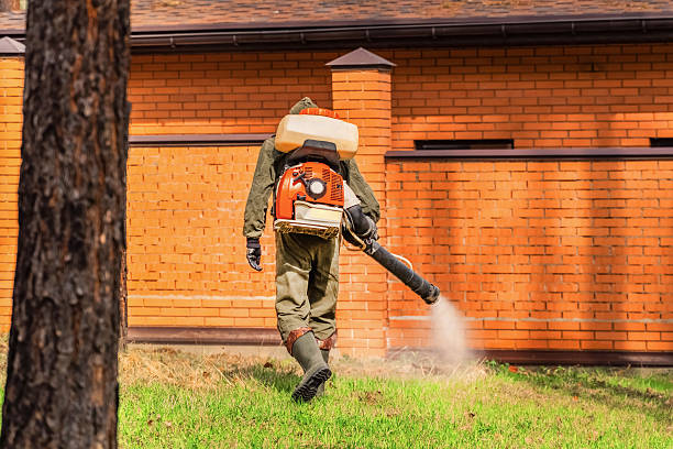 Trusted Mosquito Control service in Mowbray Mountain, TN - Nex Pest Control